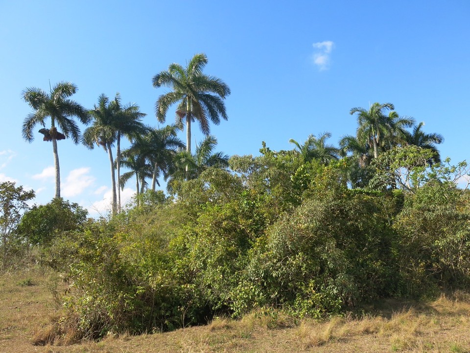  - Cuba, Viñales - 