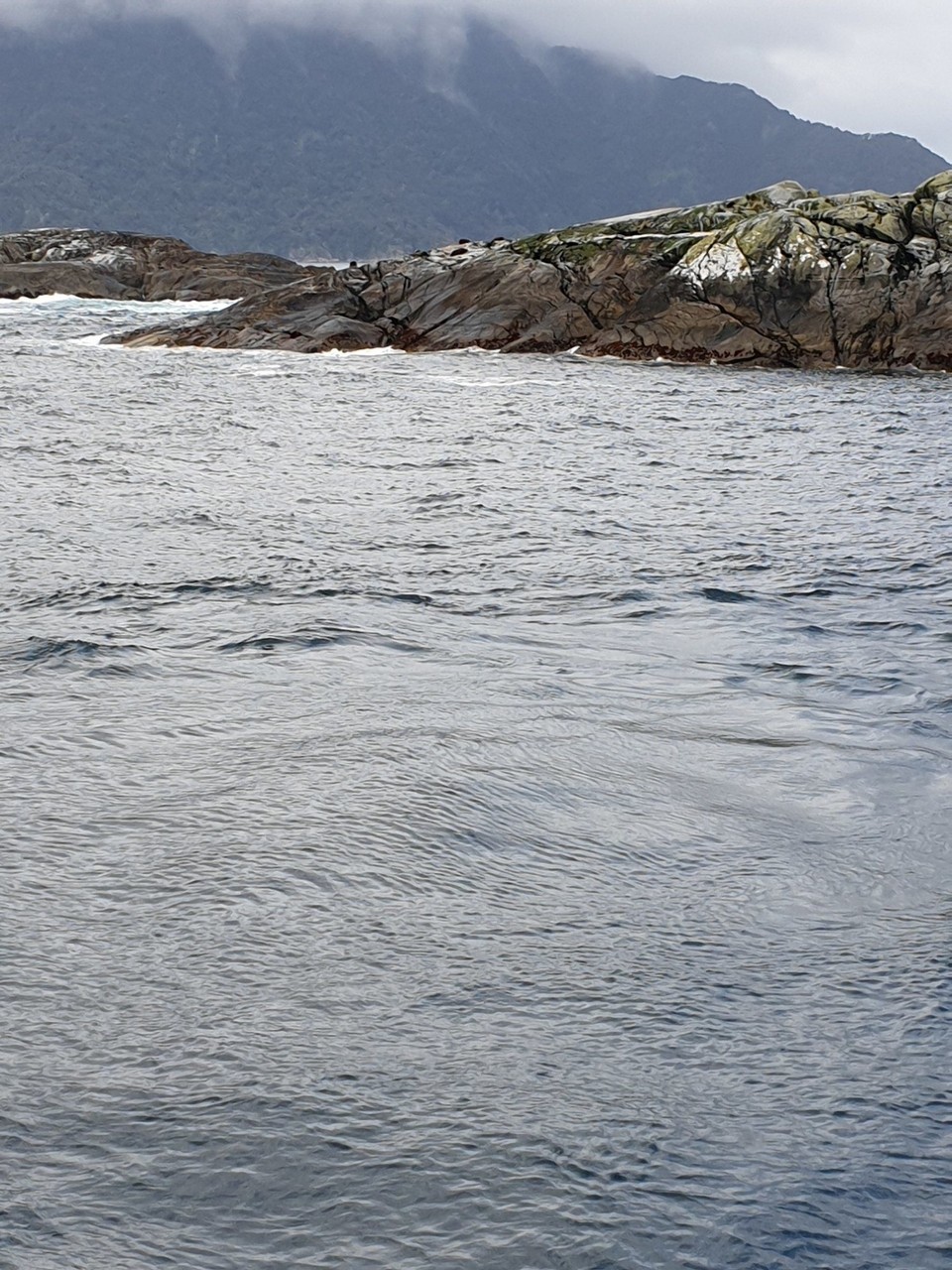 Neuseeland - Doubtful Sound - 