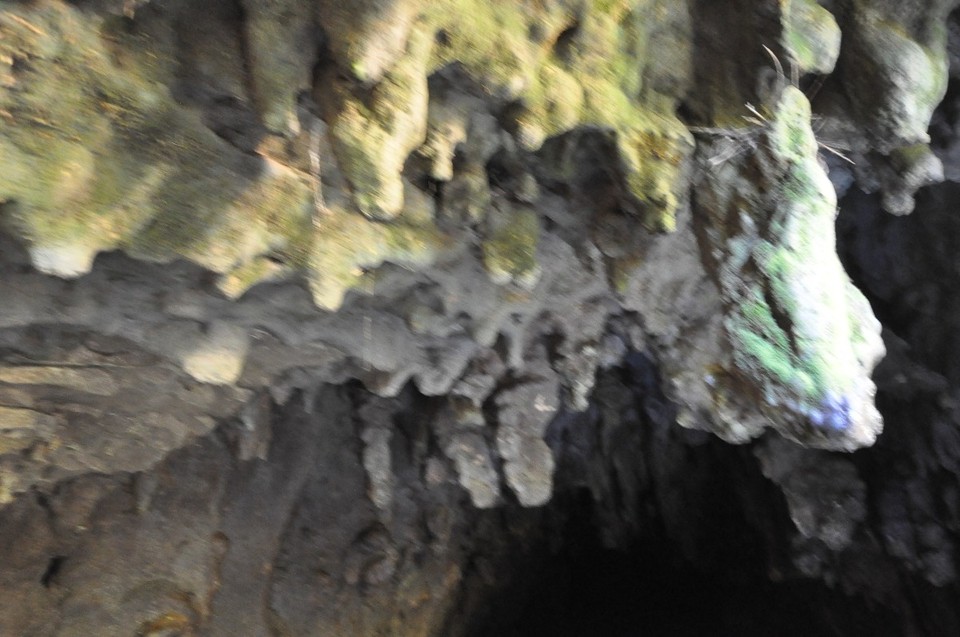 Neuseeland - New Plymouth - Waitomo Caves