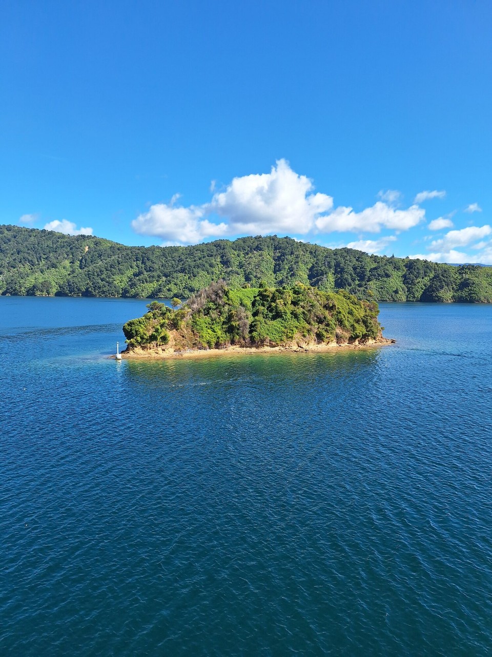 Neuseeland - Picton - ...bei herrlichem Wetter 