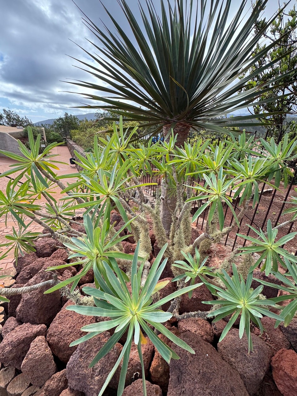 Spanien - San Sebastián de La Gomera - 