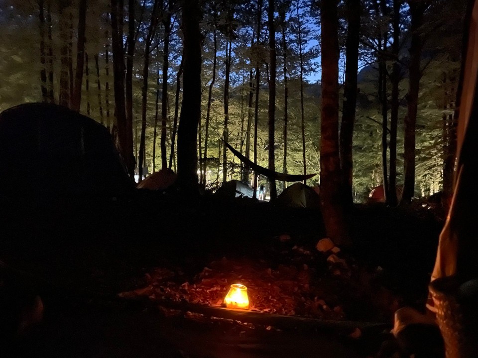 Slowenien - Bohinj - 