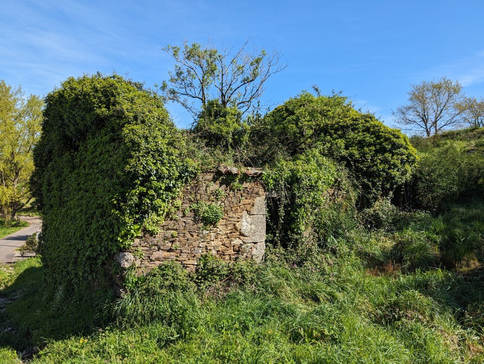 Spanien - Arzúa - ..in denen wohl Dornröschen schlummert.