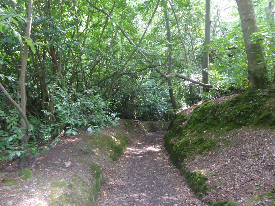 United Kingdom - Falmouth - Joining the coast path we headed back to Helford Passage.