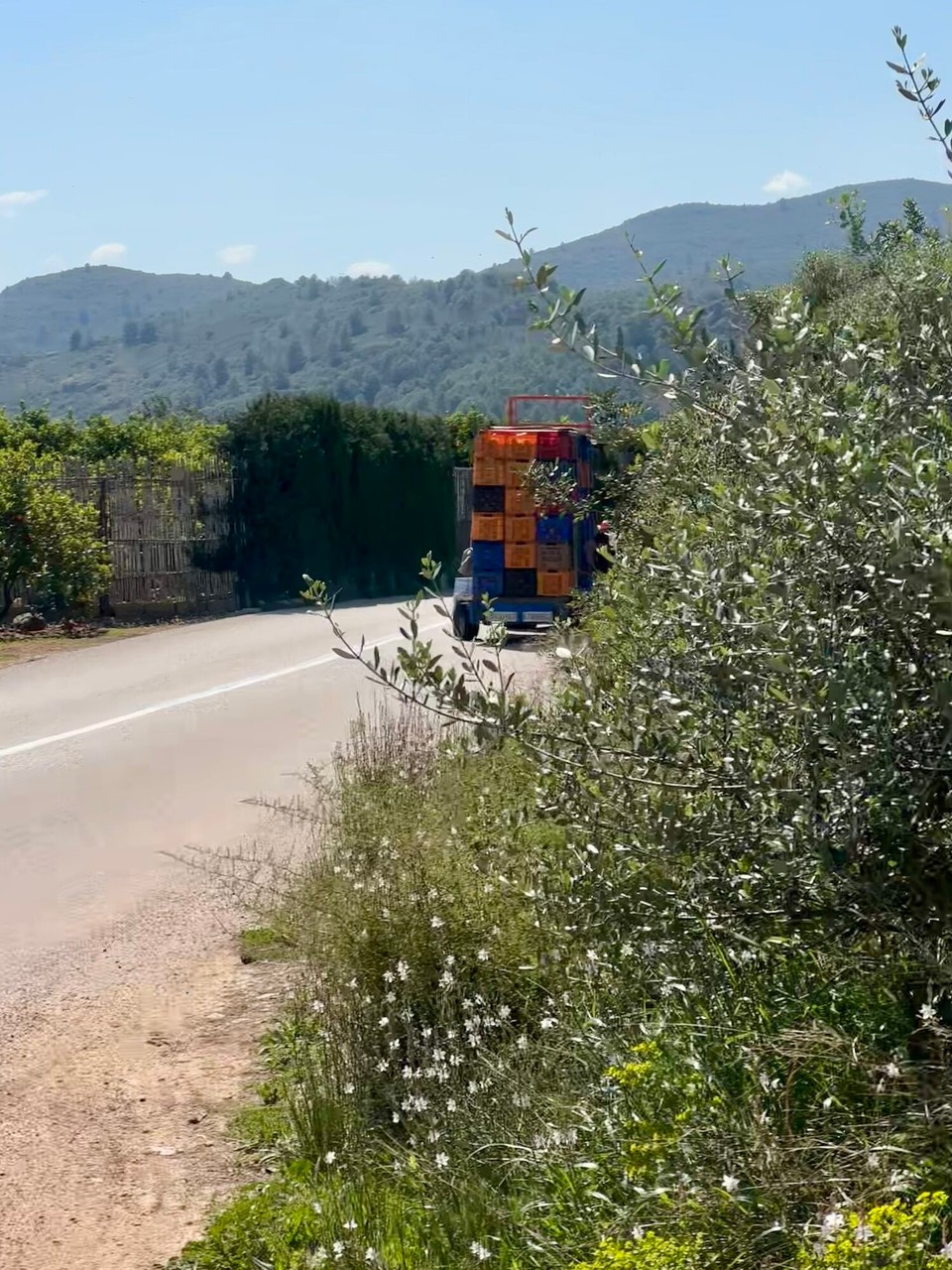 Spanien - Beniarbeig - 