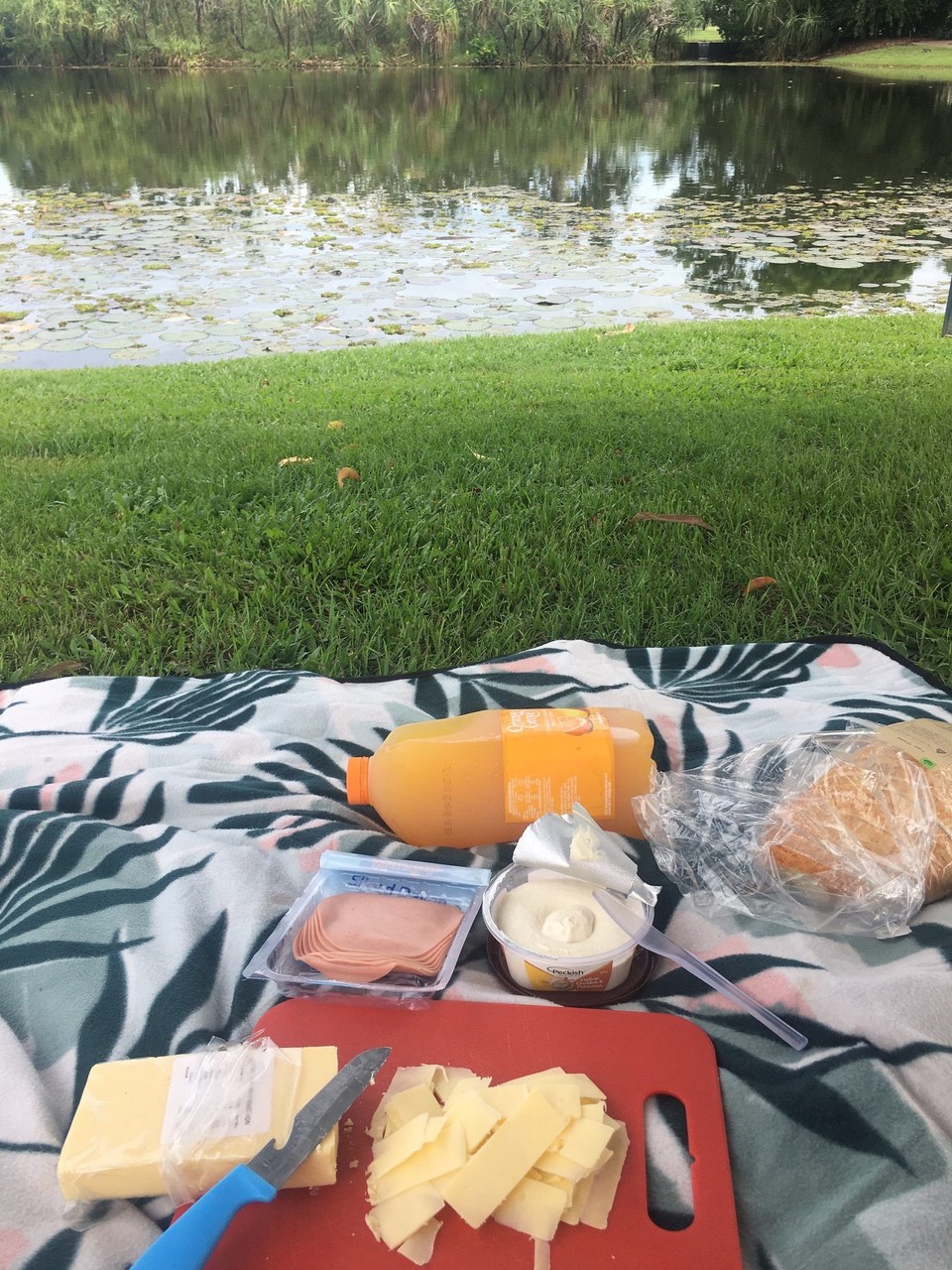 Australien - Litchfield Park - Ein richtiges Luxusfrühstück 