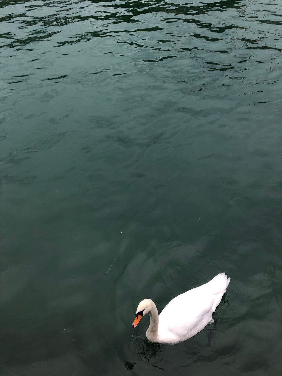 Schweiz - Zürich - 