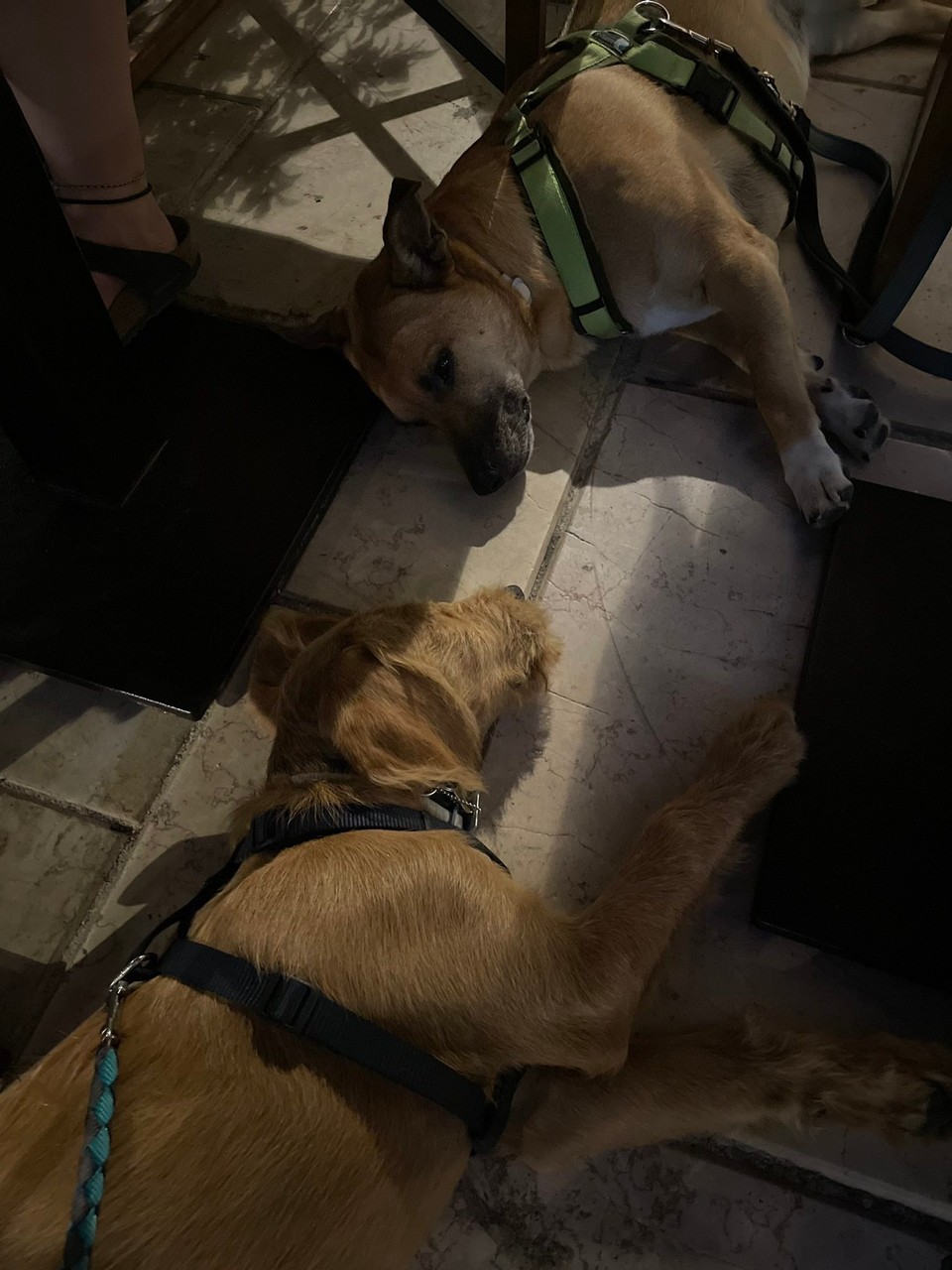 Italien - Ostuni - Na erkennt ihr ein ❤️