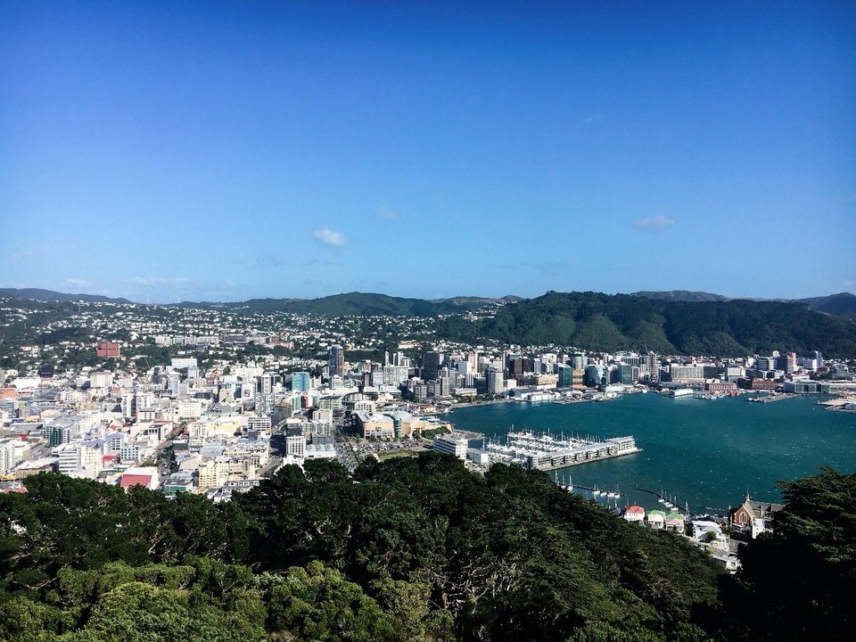 Neuseeland - Wellington - View from Mount Eden 🤤