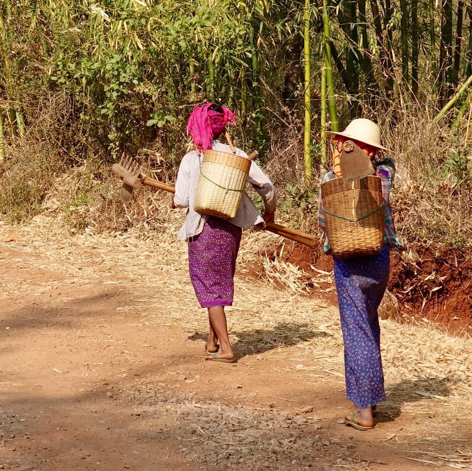 Myanmar (Burma) - Kalaw - 