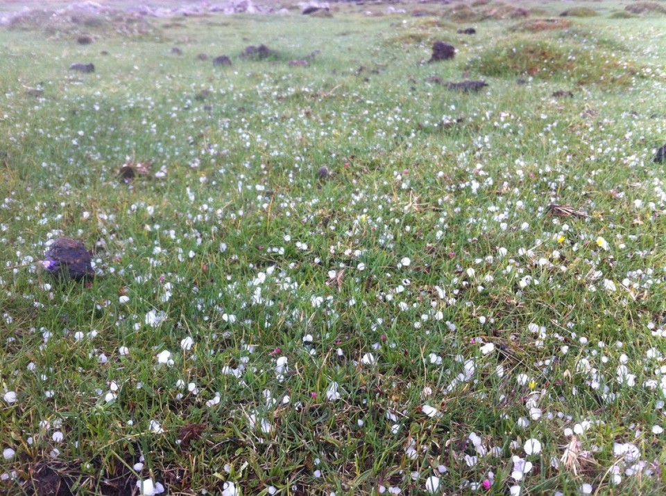 Lesotho - unbekannt - Neujahrswanderung: Im Gebirge in Lesotho kann man an einem Tag alle vier Jahreszeiten erleben. Hier im Bild: Winterliche Hagelkörner