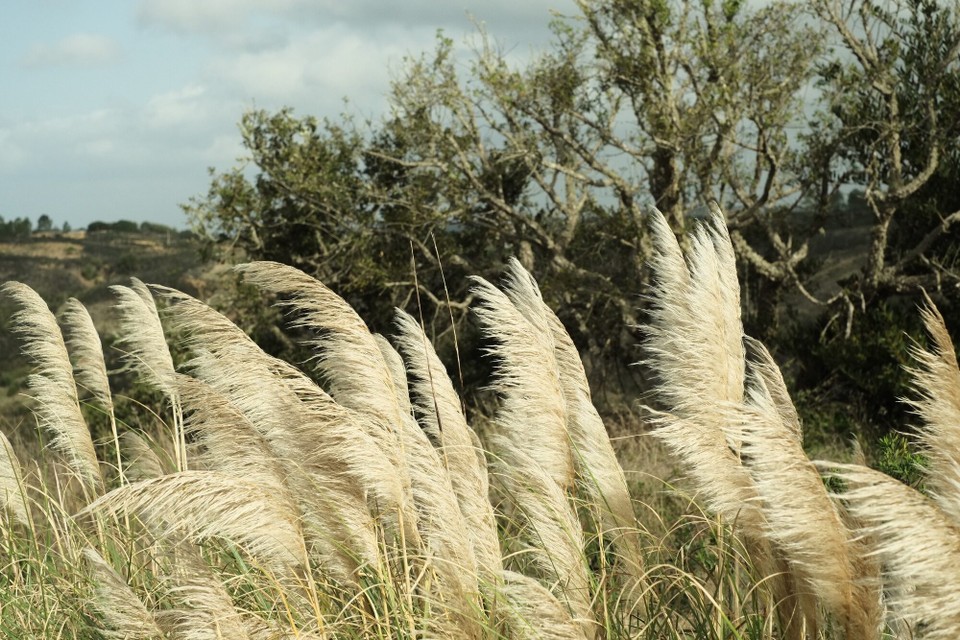 Portugal - Aljezur - 