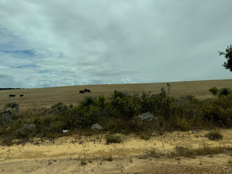 Australien - Redcliffe - 
