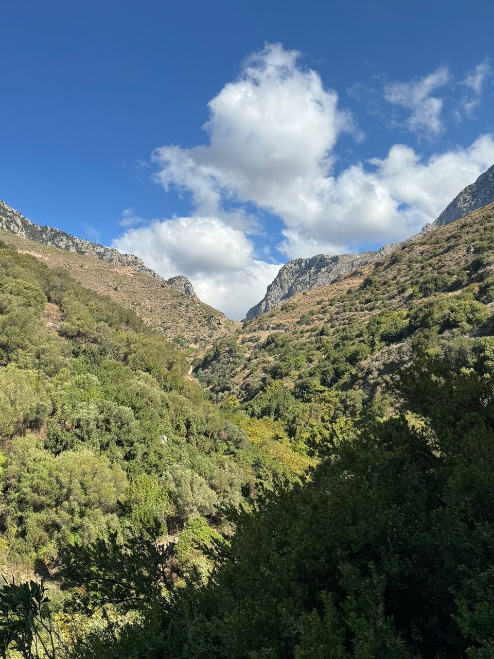 Griechenland - Myrthios - 