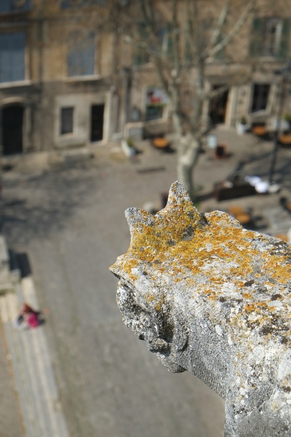 Frankreich - Avignon - 