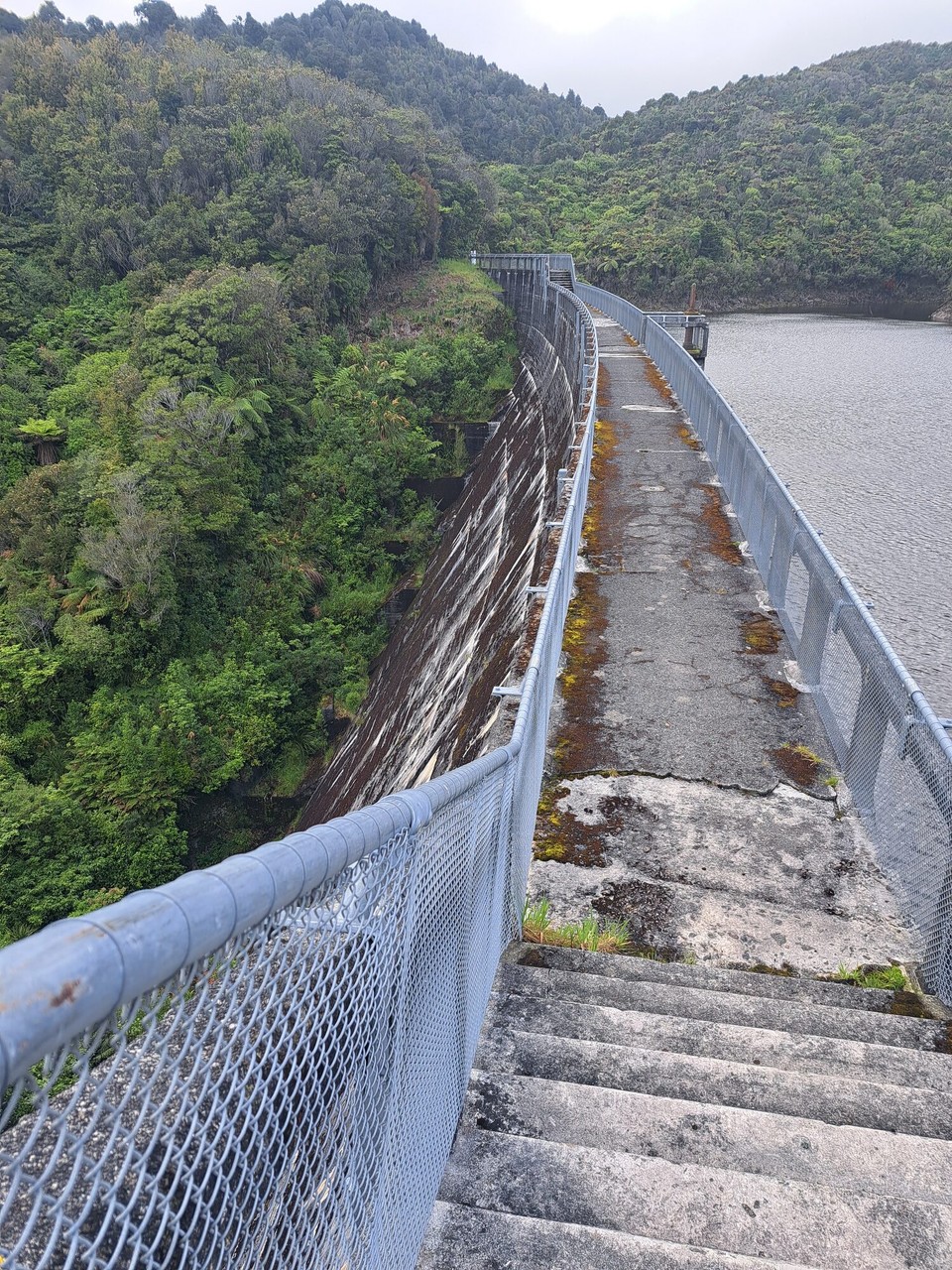 Neuseeland - Makahika - 