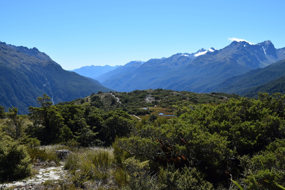 Neuseeland - Milford Sound - 