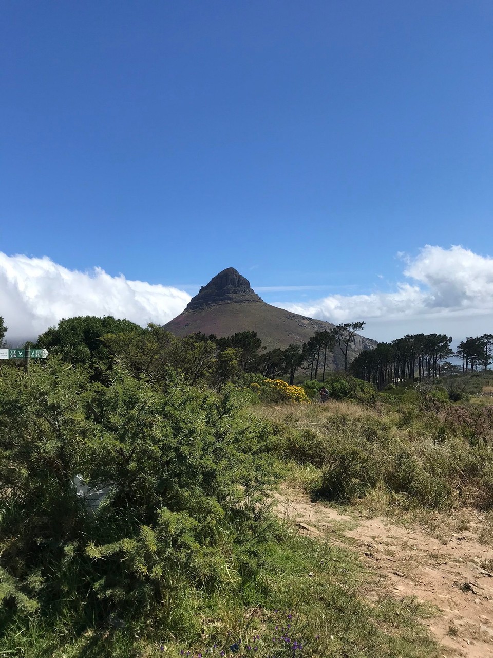 Südafrika - Kapstadt - 