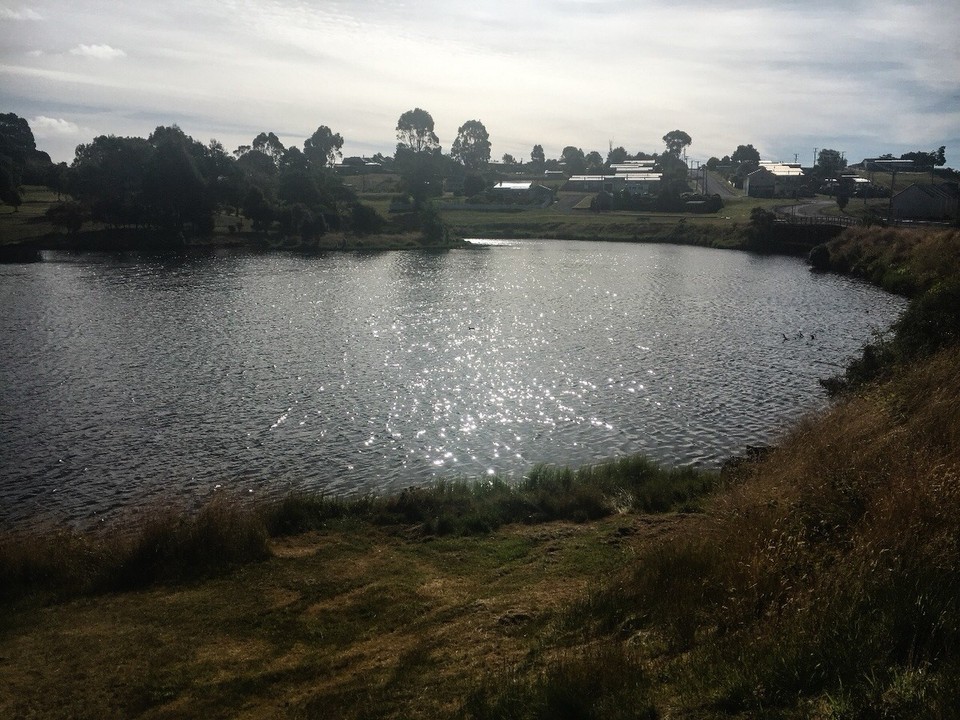 Australien - Waratah - Mit schönem Teich dahinter 