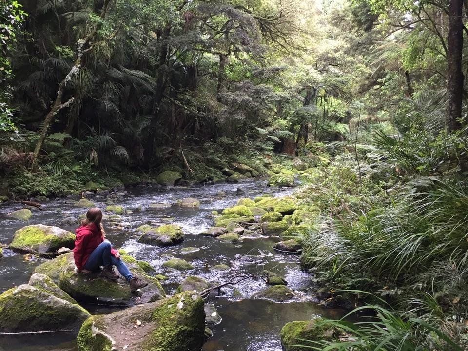  - Neuseeland, Whangarei, Whangarei Falls - 