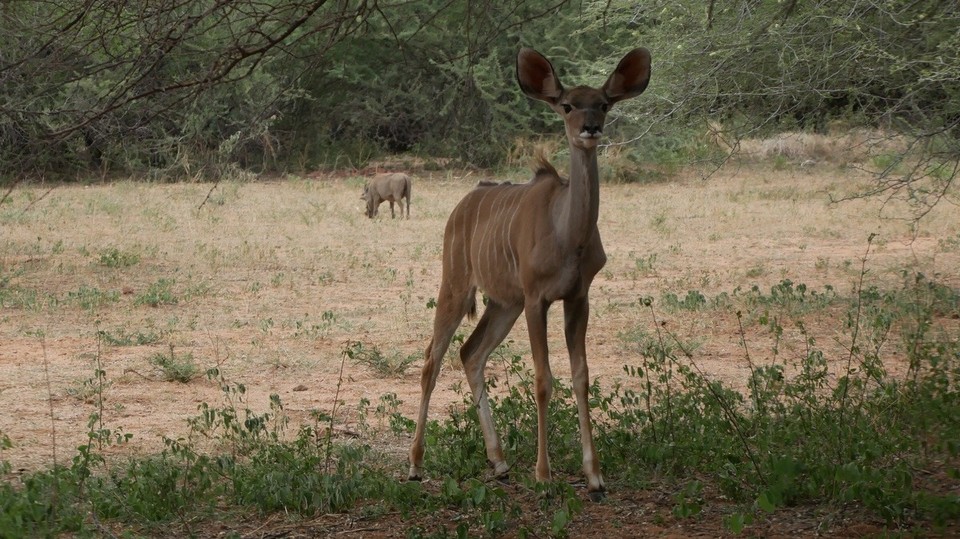 Namibia -  - 