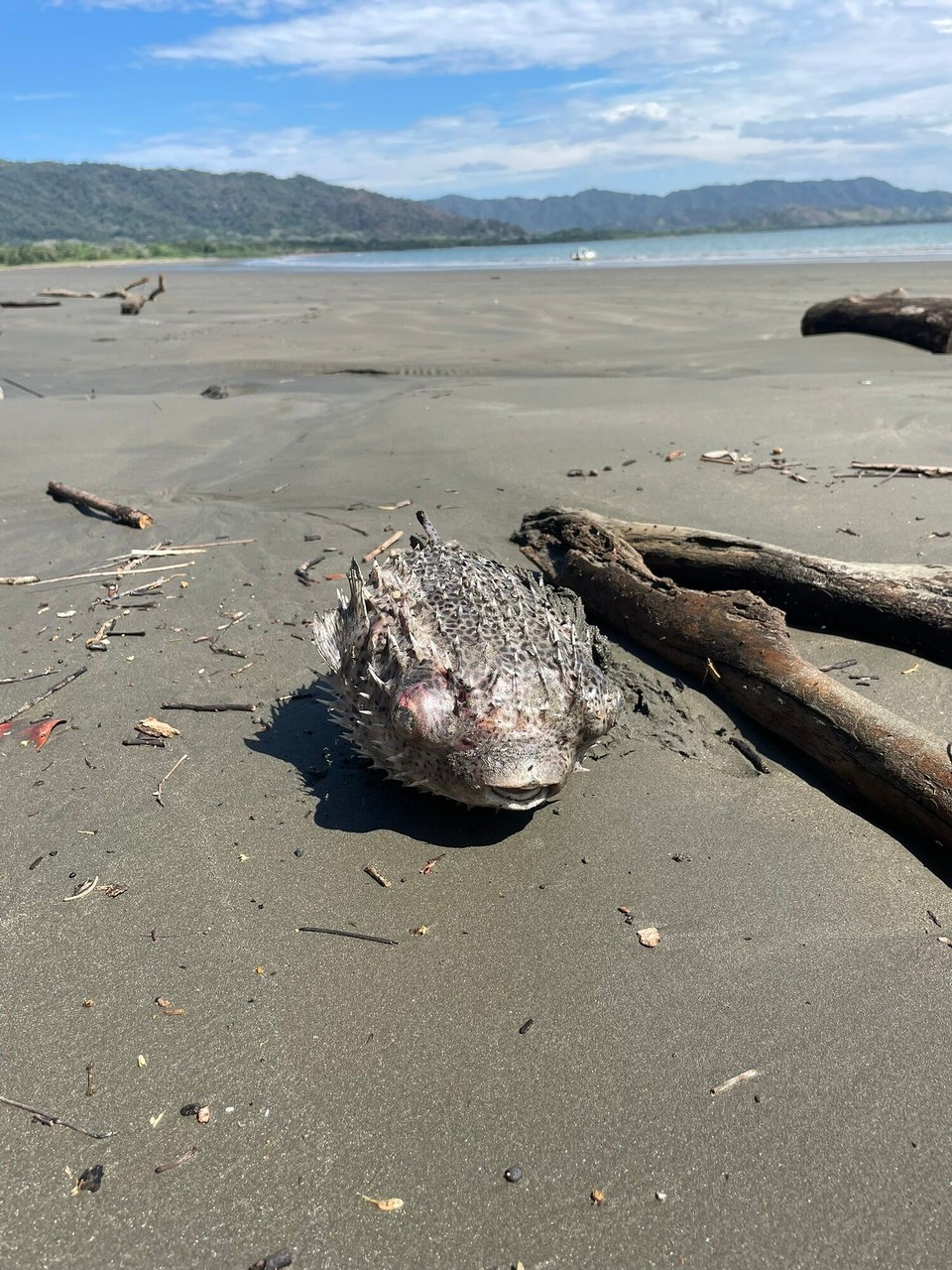 Costa Rica -  - 