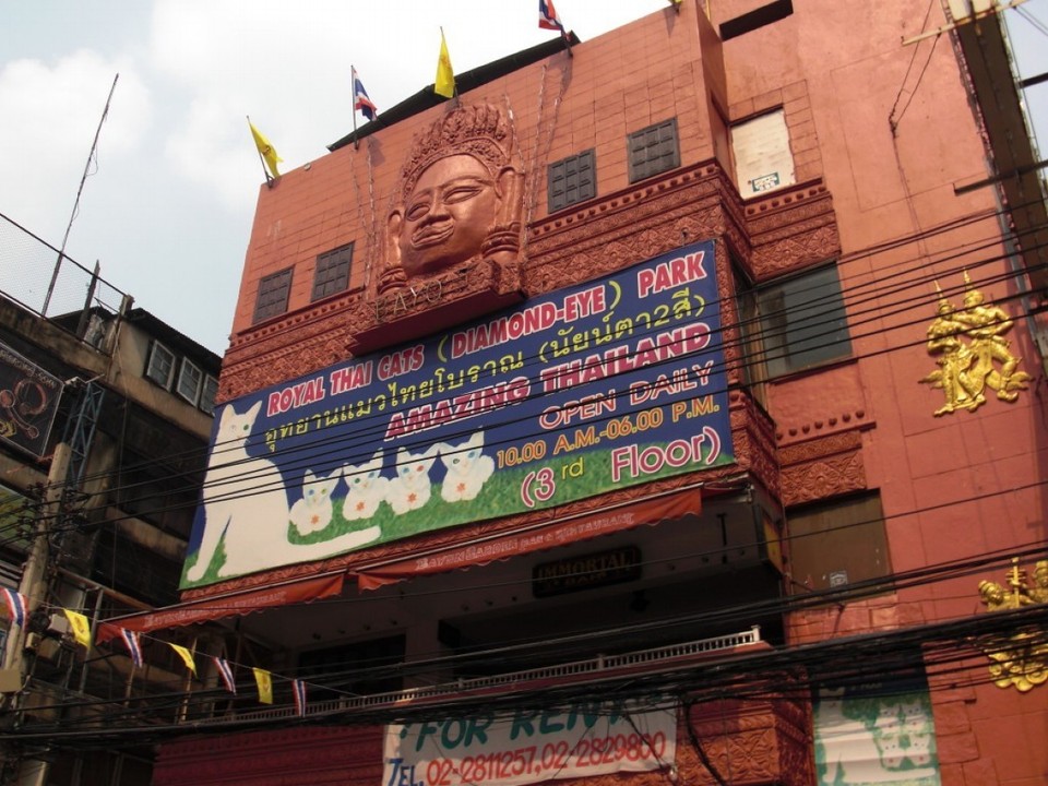 Thailand - Bangkok - 