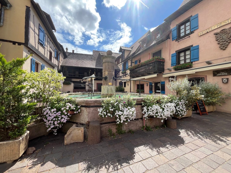 Frankreich - Eguisheim - 