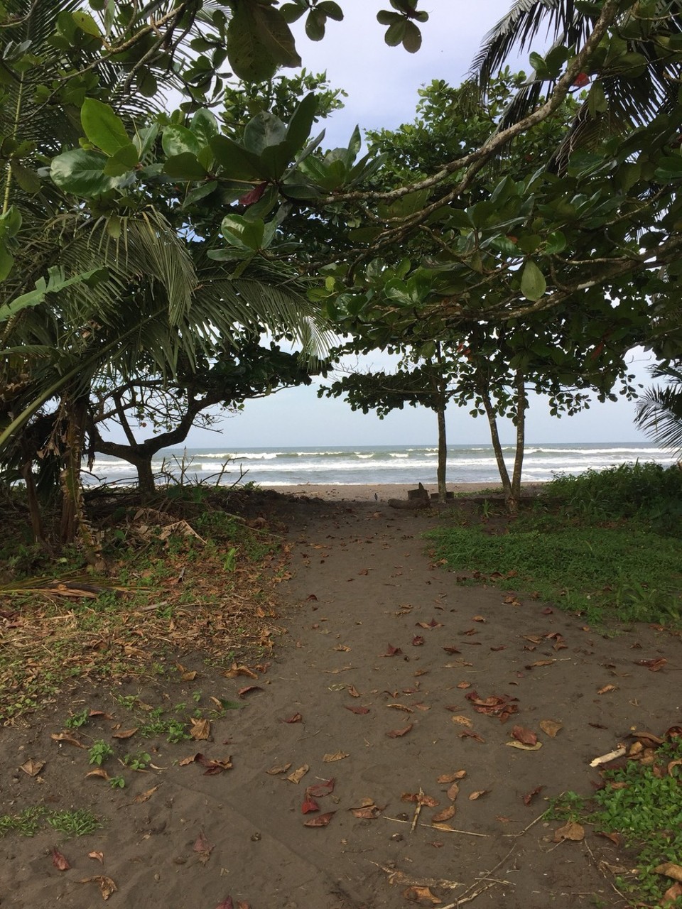 Costa Rica - Pococí - 