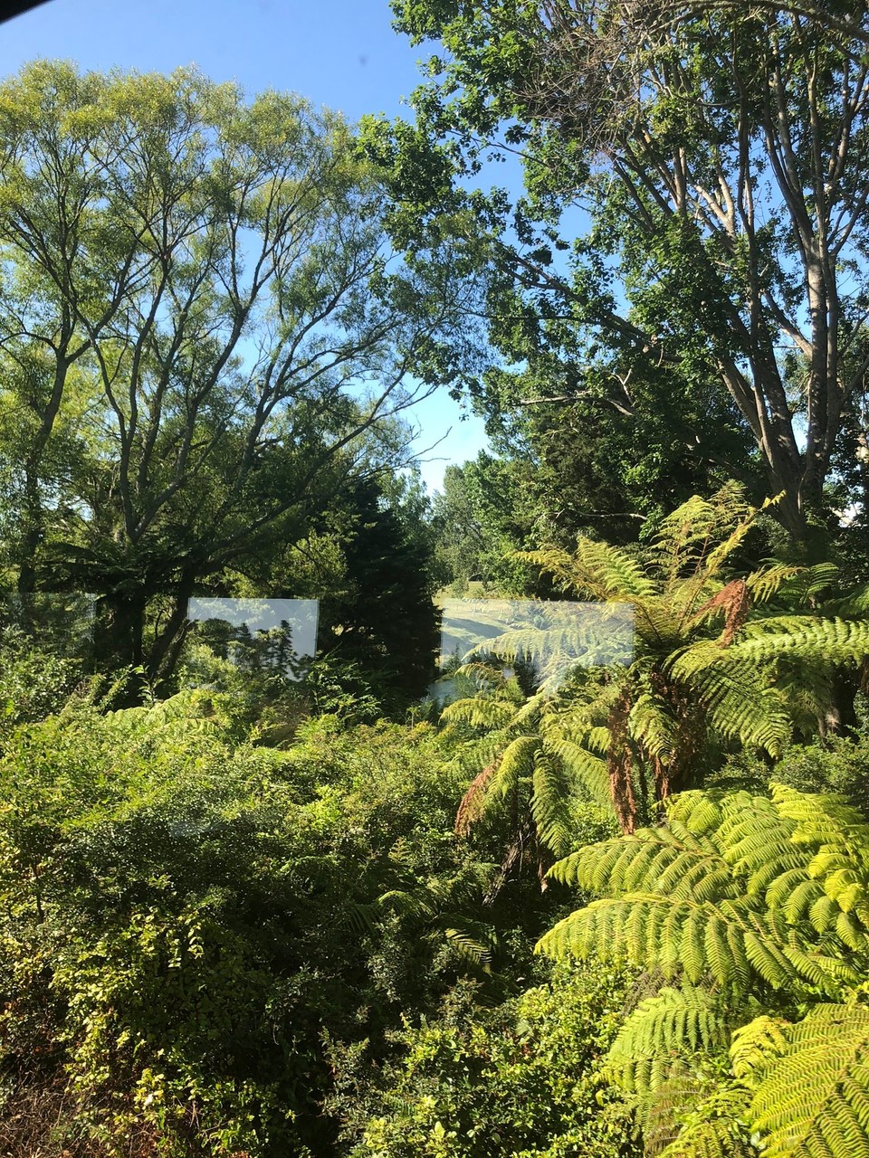 Neuseeland - Waihi - 