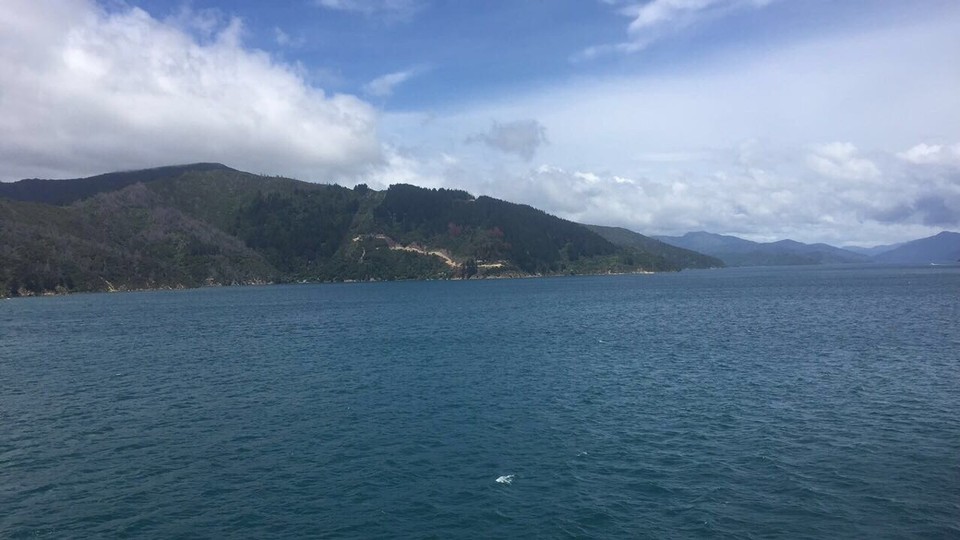 New Zealand - Picton - 