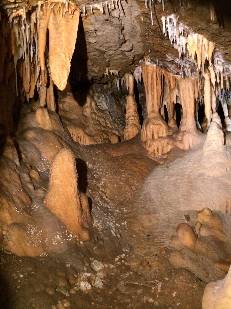 Australia -  - Buchan Caves. So many beautiful and incredible formations!