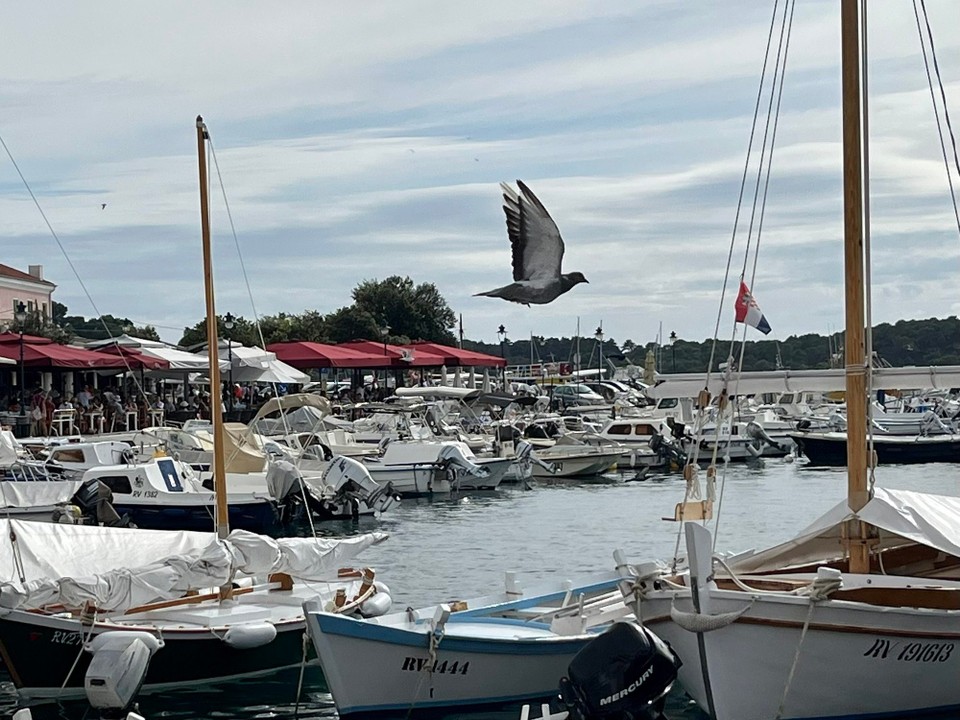 Kroatien - Rovinj - 