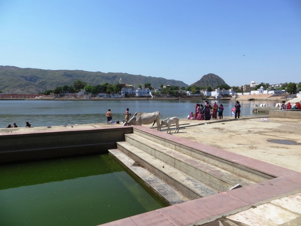 India - Pushkar - 
