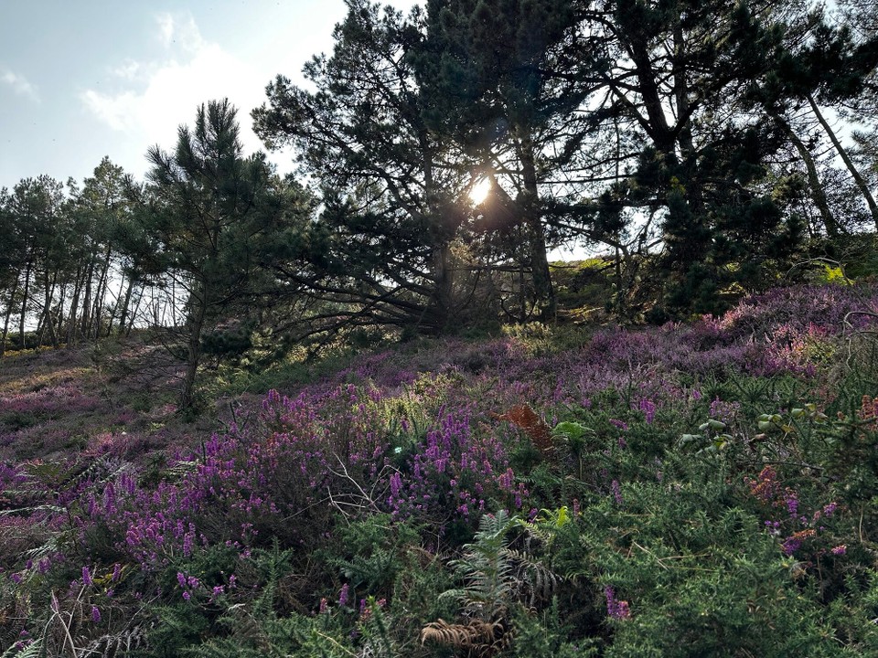 Frankreich - Crozon - 