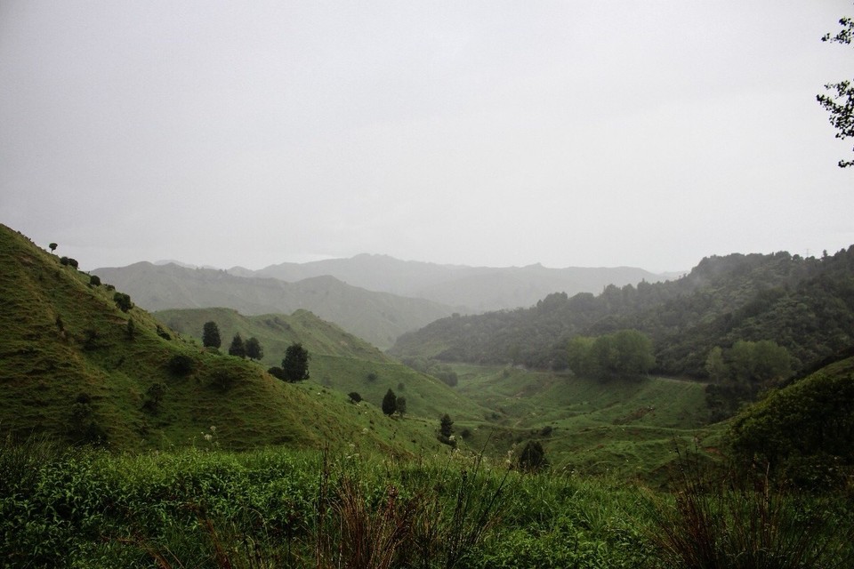 Neuseeland -  - 