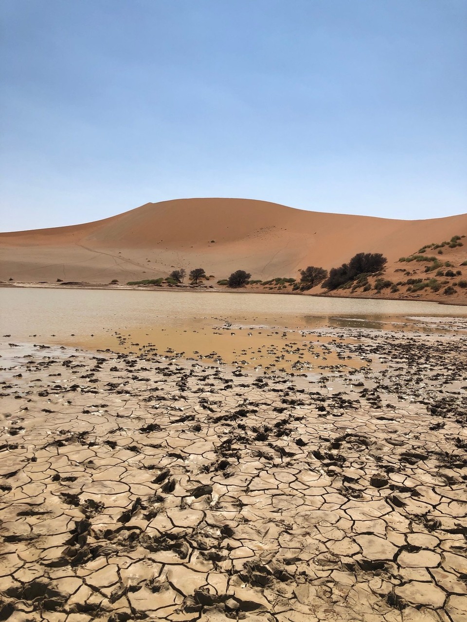 Namibia - Sossusvlei - 