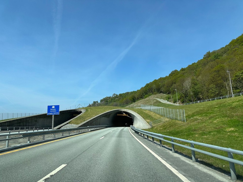 Norwegen - Sandnes - 292muh, 14,4km