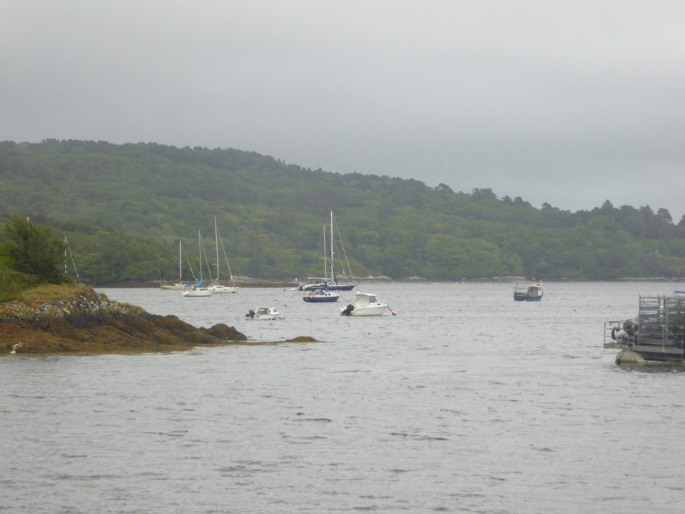 Ireland - Glengarriff - Continuous wind and rain meant we didn’t want to leave Avalon. Struggling with flaky internet I managed to do the wage run (phew!), and pay a few bills. Kevin pottered around doing a few jobs, and watched fellow boat owners scuttle back and forth to the shore when the weather occasionally abated.