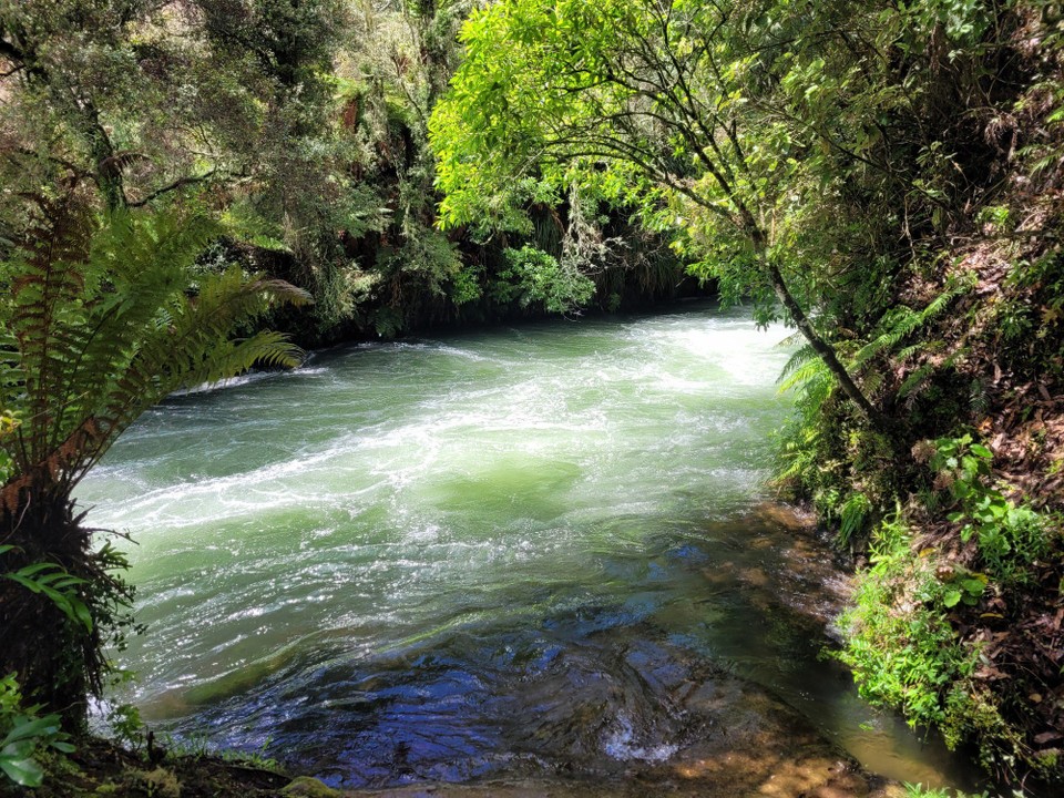 Neuseeland - Rotorua - 