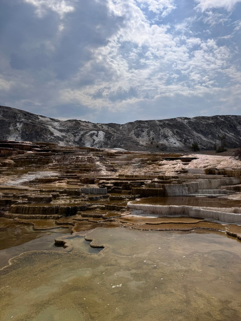 Vereinigte Staaten - Yellowstone National Park - 