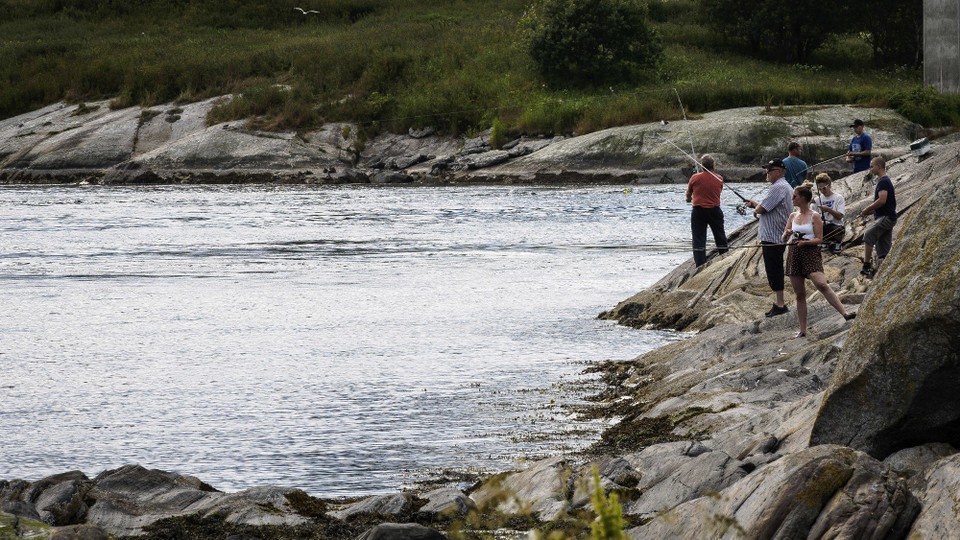 Norwegen - unbekannt - Der Saltstraumen ist sehr fischreich. Darum versuchen hier viele Fischer ihr Glück. Wir haben jedoch keinen erfolgreichen Fang gesehen... 