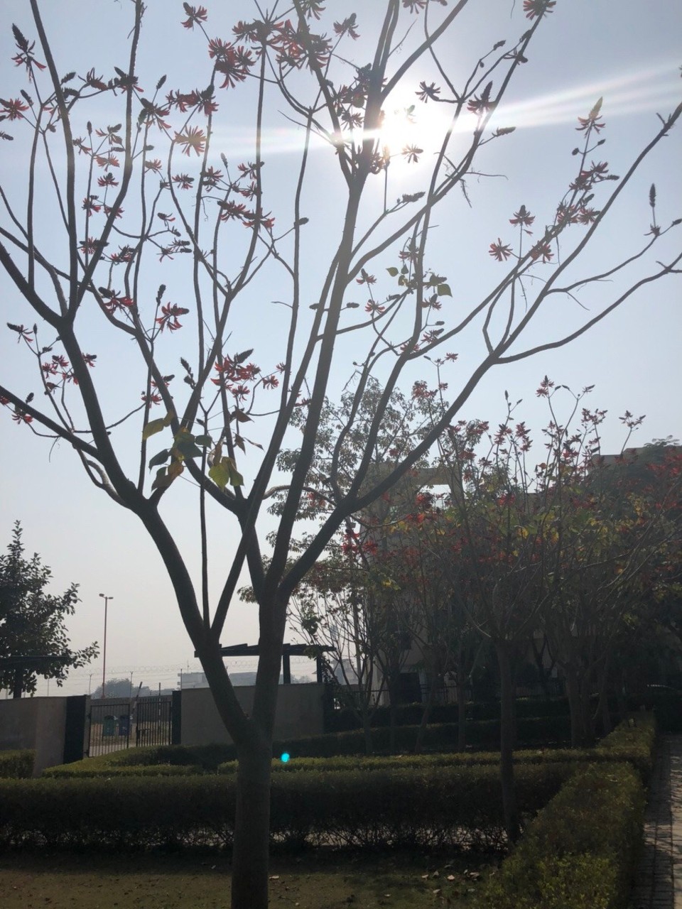 India - Gurugram - 