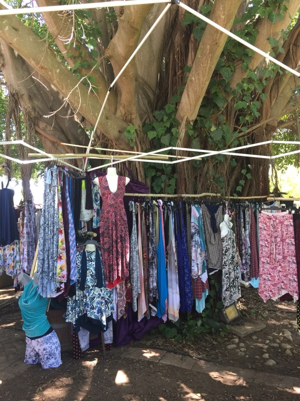 Südafrika - Stellenbosch - Marktgeschehen Family Market
