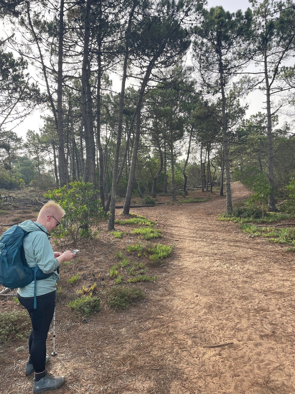 Ort bestimmen … -  - 