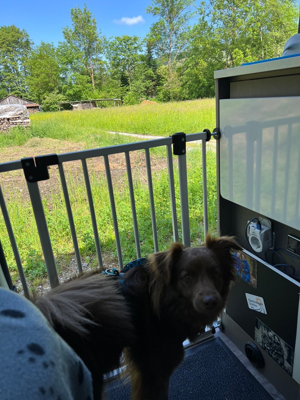 Deutschland - Pfedelbach - 