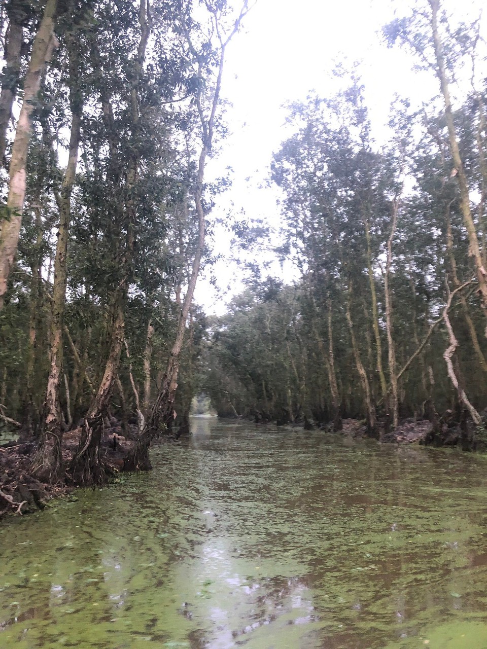 Vietnam - Tp. Châu Đốc - 