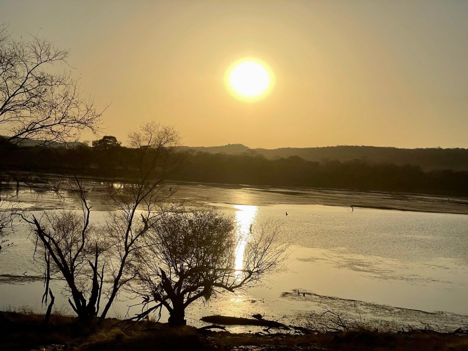 Indien - Ranthambore - 