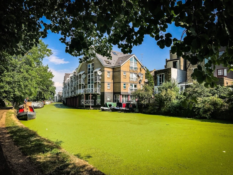 United Kingdom - London - Abgedeckt und zugedeckt scheint das Thema des heutigen Tages zu sein. Über LITTLE VENICE reite ich in die Stadt zurück. Entlang der mit Wasserlinsen aka Duckweed komplett zugedeckten Wasseroberfläche entdecke ich die wunderbaren Ecken eines für mich dato unbekannten Londons.