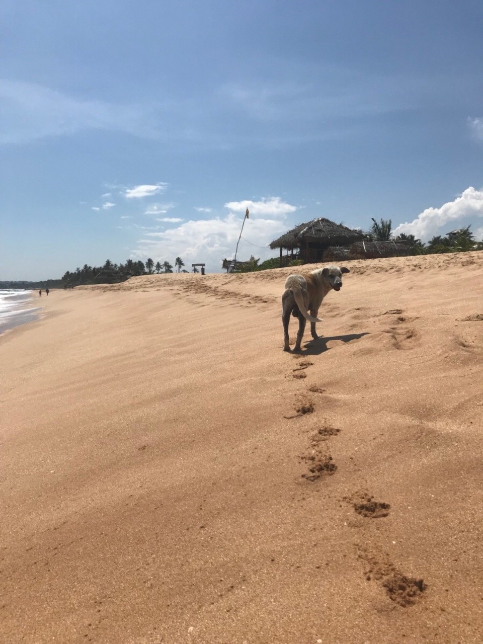 Sri Lanka -  - 